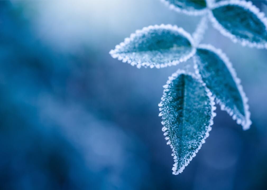 Feeling the winter blues? Here are some reasons why
